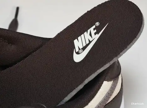 Dunk Nike Low FJ4734-100 Eclipse Plum  0701